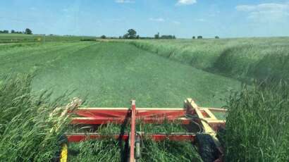 crop roller
